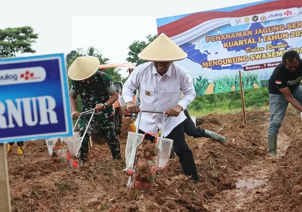 Gubernur Andra Soni Dorong Kolaborasi Lintas Sektor untuk Swasembada Jagung Banten