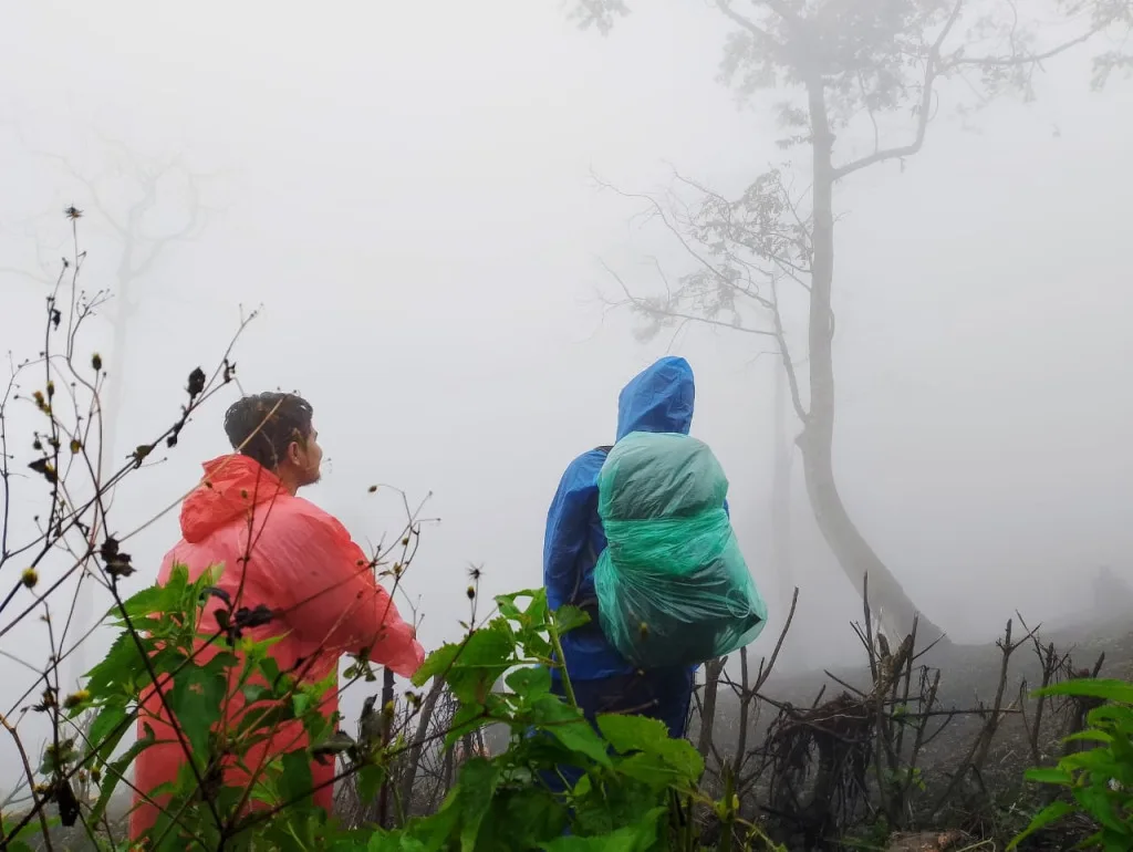 Perbedaan Hiking dan Trekking yang Sering Dianggap Sama